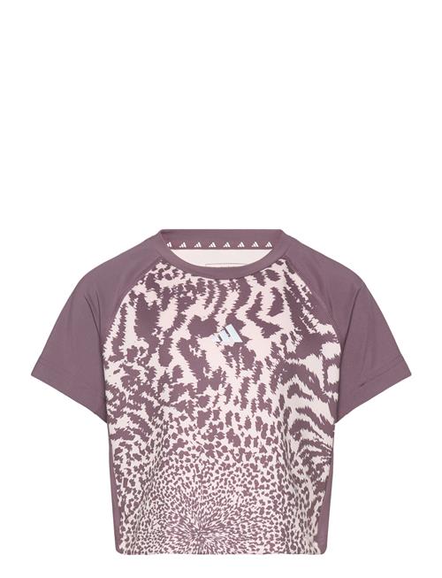 adidas Sportswear | Jg Pri Tee | 170