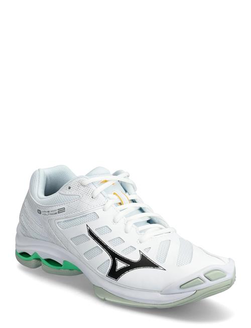 Mizuno | Wave Voltage 2 | 44.5