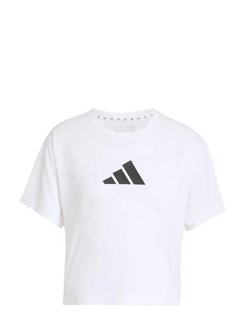 adidas Performance | We Bl Tee | XL