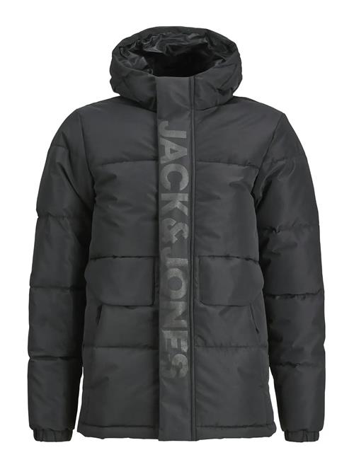 Jack & Jones | Jcospeed Puffer Sn Mni | 116