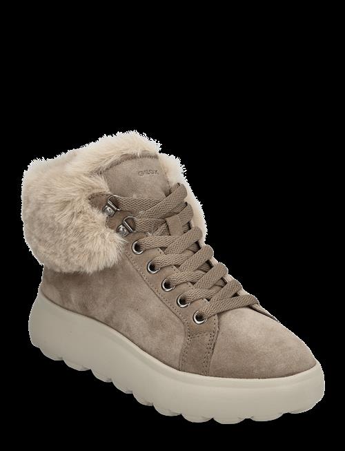 GEOX | D Spherica Ec4.1 A | 36