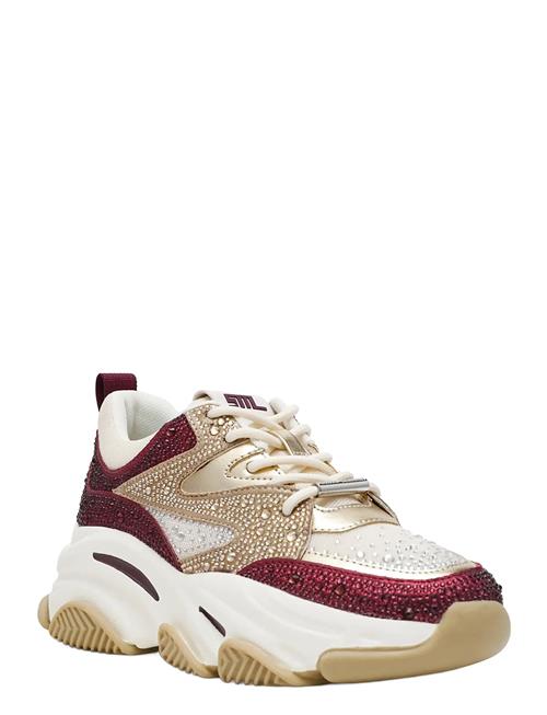 Steve Madden | Privy | 40