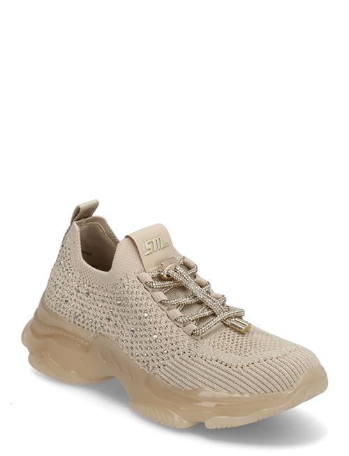 Steve Madden | Meter Sneaker | 39