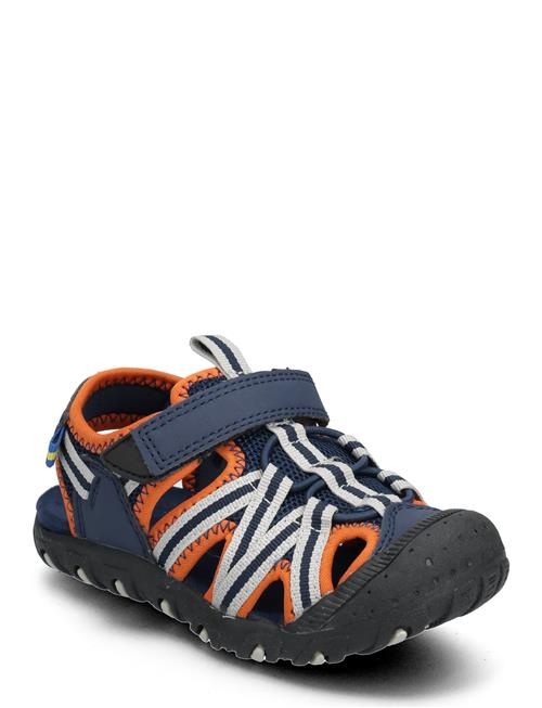 PAX | Cloudi Pax | 31/19.6CM