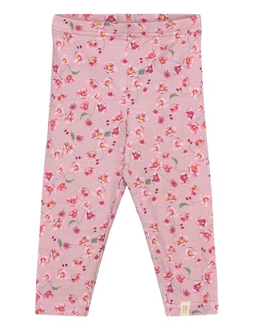 Petit Piao | Legging Printed | 74