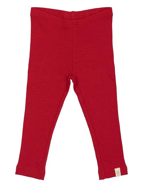 Petit Piao | Legging Modal | 62