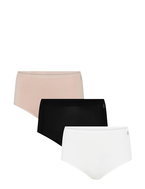 URBAN QUEST | 3-Pack Women Bamboo Maxi Brief | S