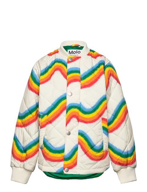 Molo | Hallow | 110/116