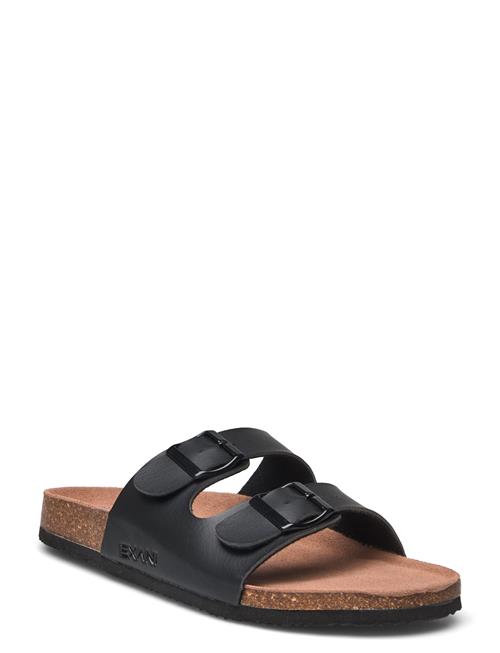 Exani | Spectra M | 46