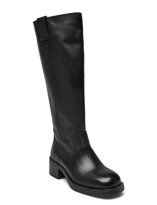 Pavement | Paannika | 41