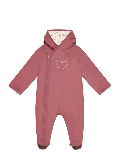 Fixoni | Wholesuit W.padding | 56