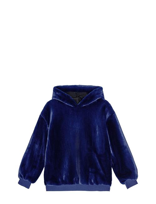 Molo | Maureen | 116