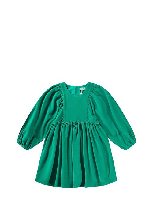 Molo | Caiosi | 110-116