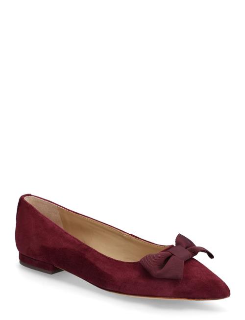 Lauren Ralph Lauren | Londyn Bow-Trim Suede Ballet Flat | 36