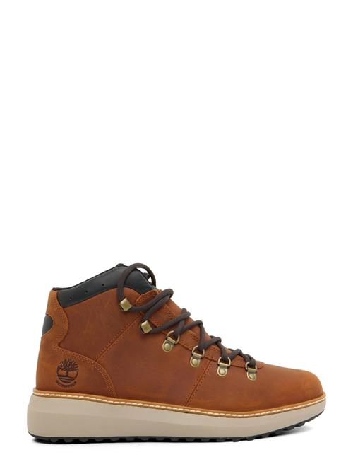 Timberland | Mid Lace Up Waterproof Chukka Boot | 46