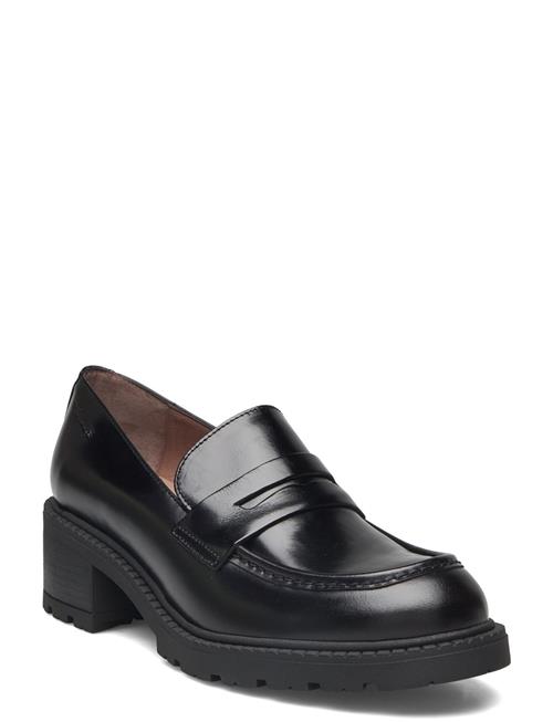 Wonders | Evoclub 01 | 36