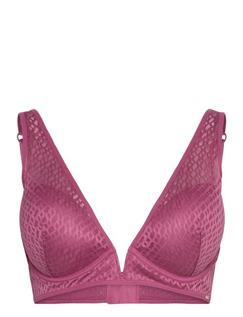 BOSS | Triangle  B Lace | C x 75