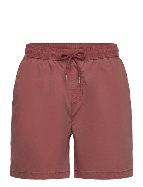 Quiksilver | Taxer Ws | S