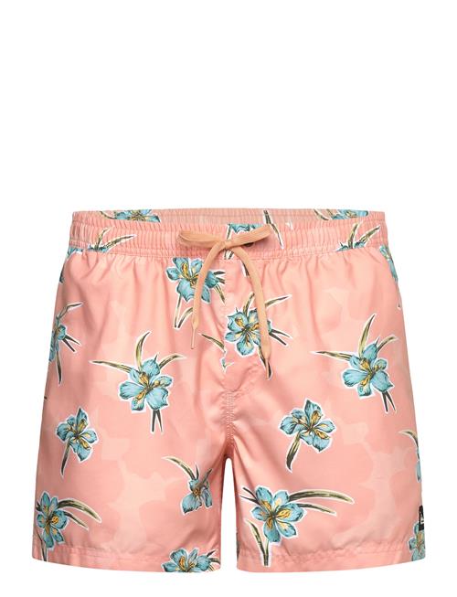 Quiksilver | Everyday Straight Volley 15 | XL