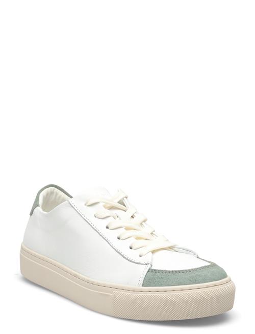 Sneaky Steve | Nagore U White/Mint | 40