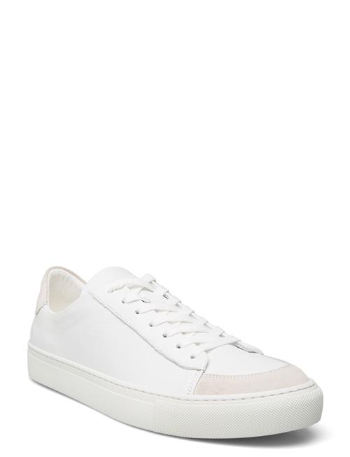 Sneaky Steve | Nagore U White | 40