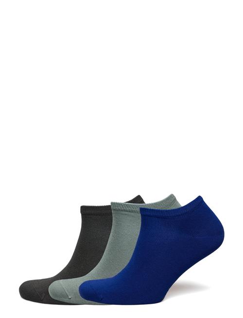 Björn Borg | Essential Steps 3P | 35-38