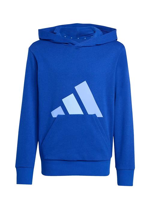 adidas Sportswear | J Bl Ft Hd 280 | 164