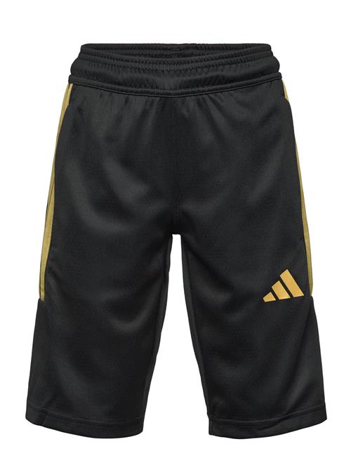 adidas Sportswear | J Hot Cof Sho | 128