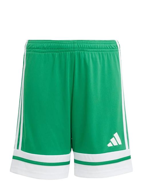 adidas Performance | Squa25 Sho Y | 152