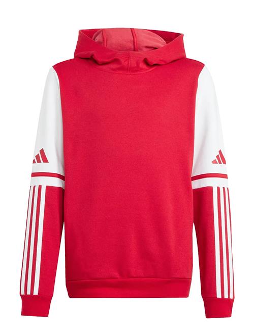 adidas Performance | Sq25 Sw Hood Y | 152