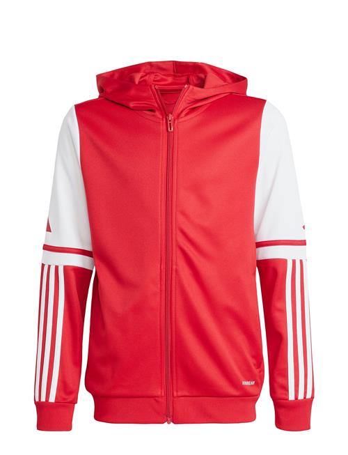 adidas Performance | Sq25 Hood Y | 176