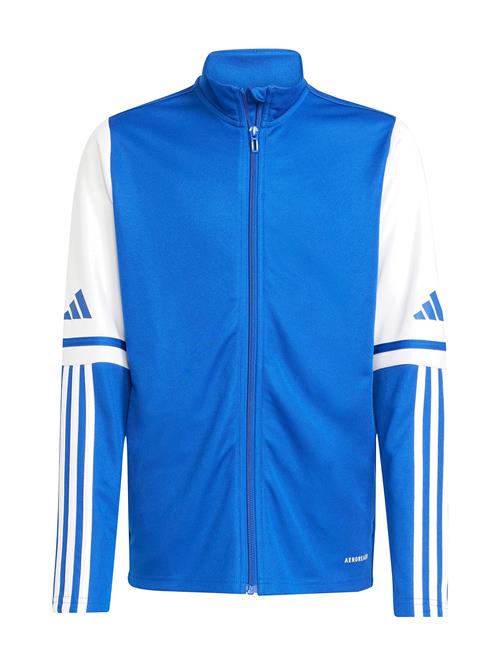adidas Performance | Sq25 Tr Jkt Y | 176