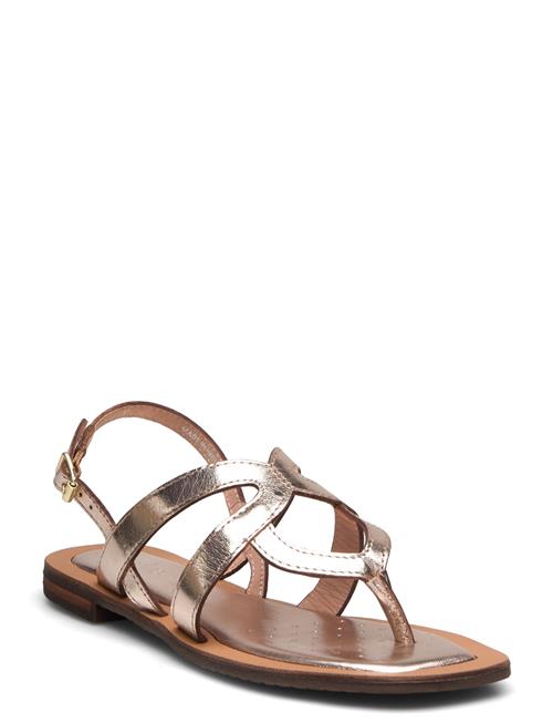 GEOX | D Sozy Qc C | 38