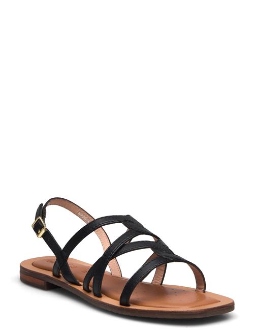 GEOX | D Sozy Qc A | 38