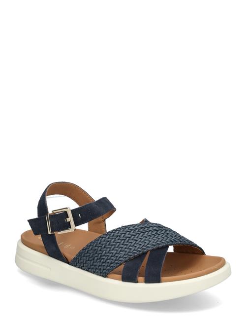 GEOX | D Xand 2S B | 37