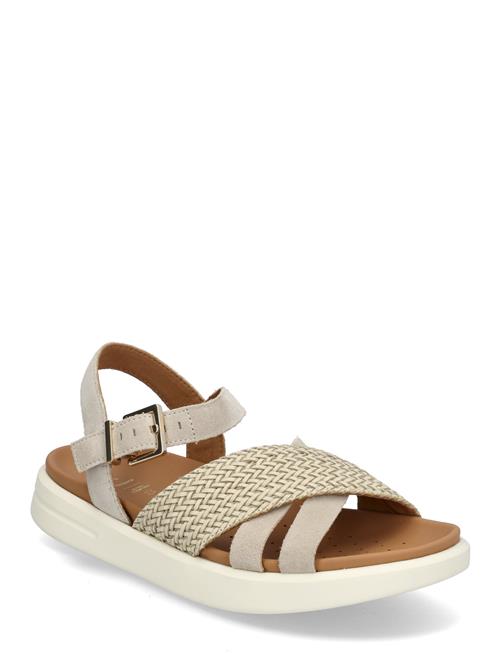 GEOX | D Xand 2S B | 37