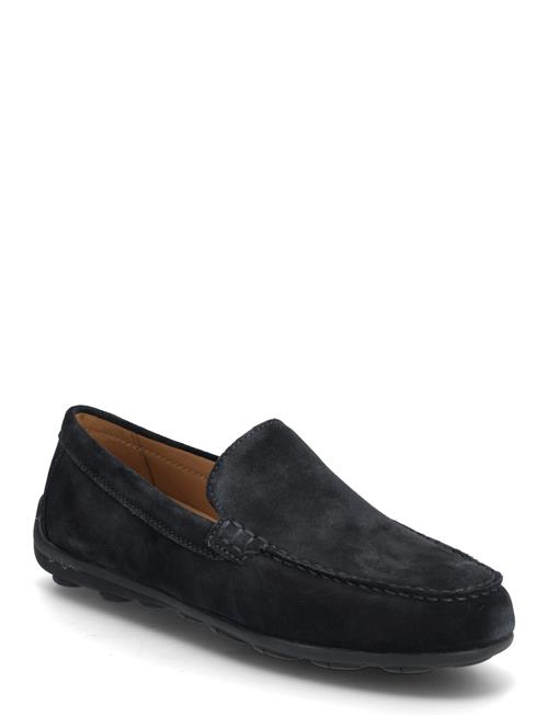 GEOX | U Spherica Ec16 A | 42