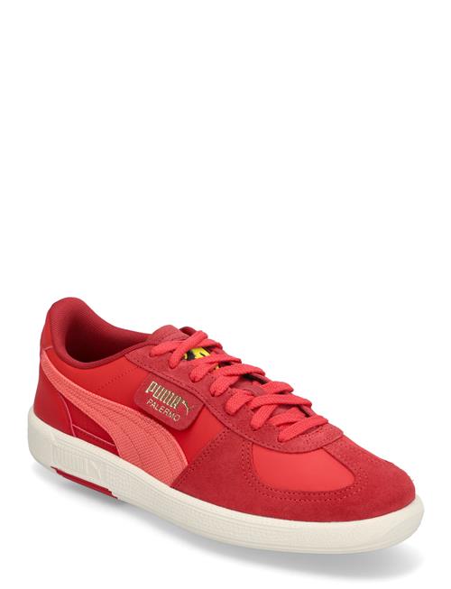 PUMA Motorsport | Ferrari Palermo | 42