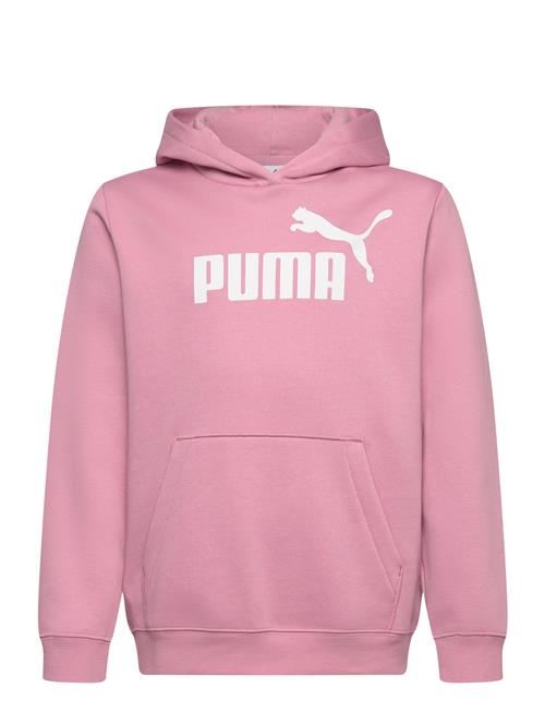 PUMA | Ess No. 1 Logo Hoodie Fl G | 176