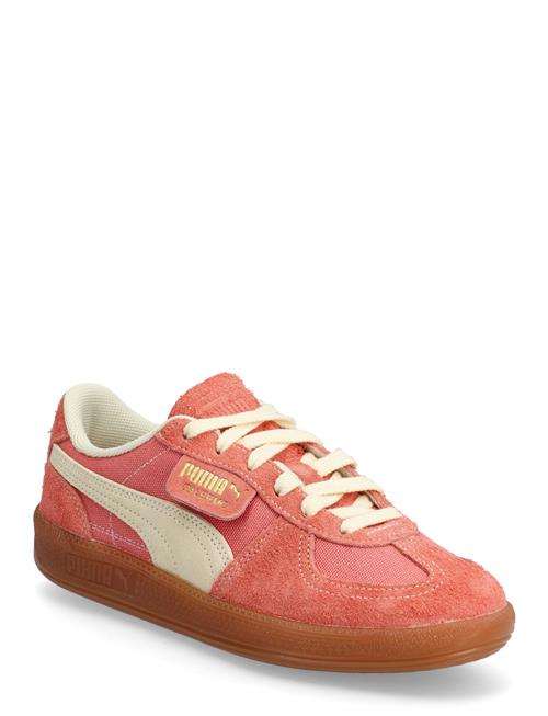 PUMA | Palermo Vintage | 38