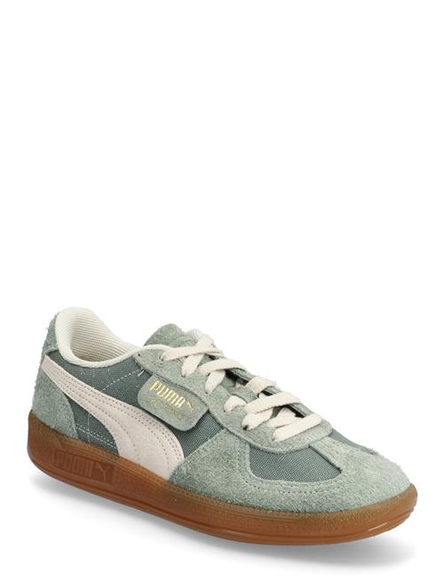 PUMA | Palermo Vintage | 36