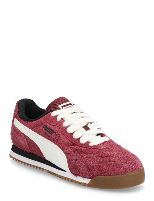 PUMA | Roma Anniversario Suede | 42