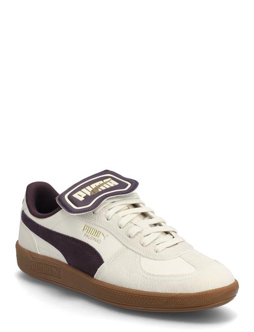 PUMA | Palermo Premium | 37