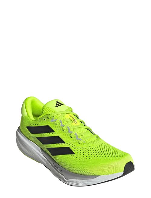 adidas Performance | Supernova Stride 2 M | 43 1/3