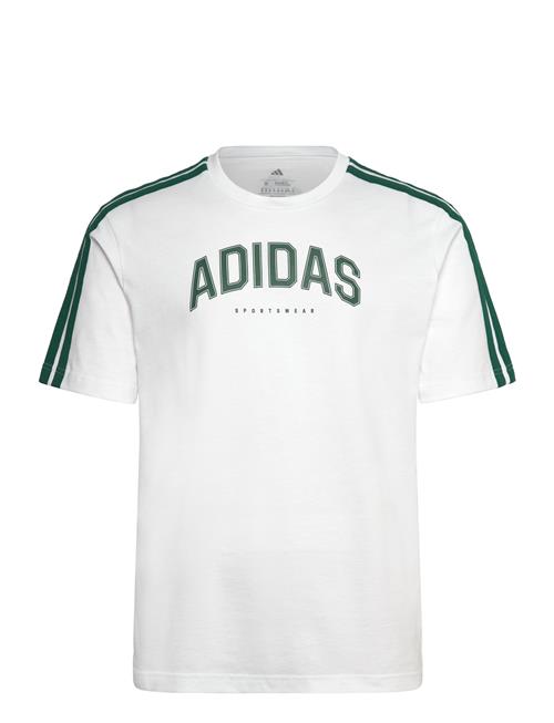 adidas Sportswear | M C Colleg Tee | S
