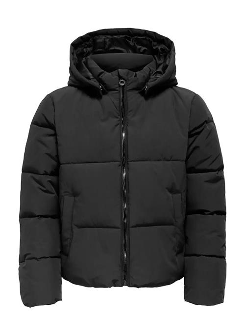 Kids Only | Kogdolly Life Sht Puffer Jacket Otw Noos | 152