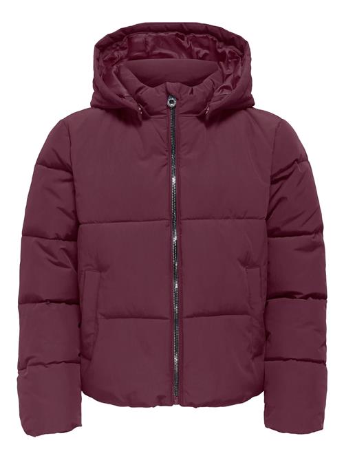 Kids Only | Kogdolly Life Sht Puffer Jacket Otw Noos | 146