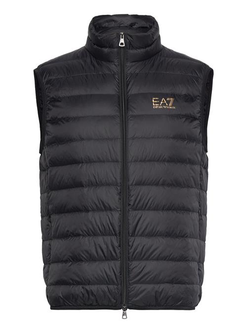 EA7 | Down Waistcoat | XXL