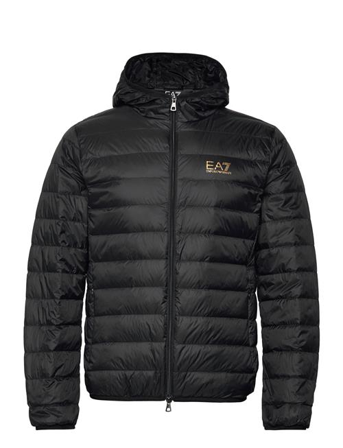 EA7 | Down Jacket | L