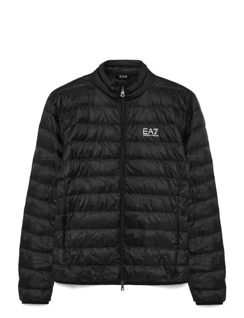 EA7 | Down Jacket | L
